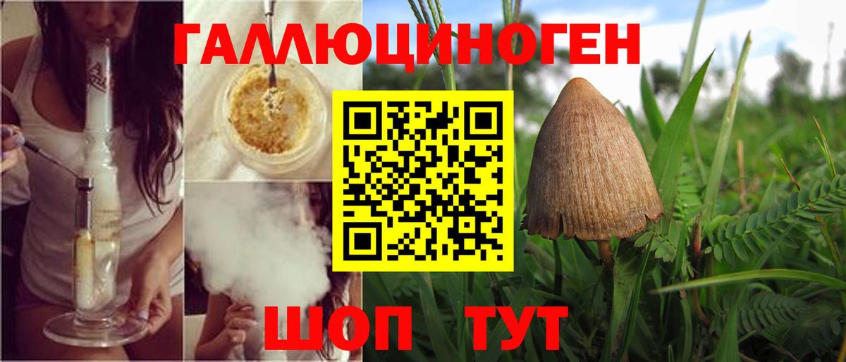 Видное  Псилоцибиновые грибы MAGIC MUSHROOMS  Вход с VPN  Галлюциногенные грибы прущие грибы 